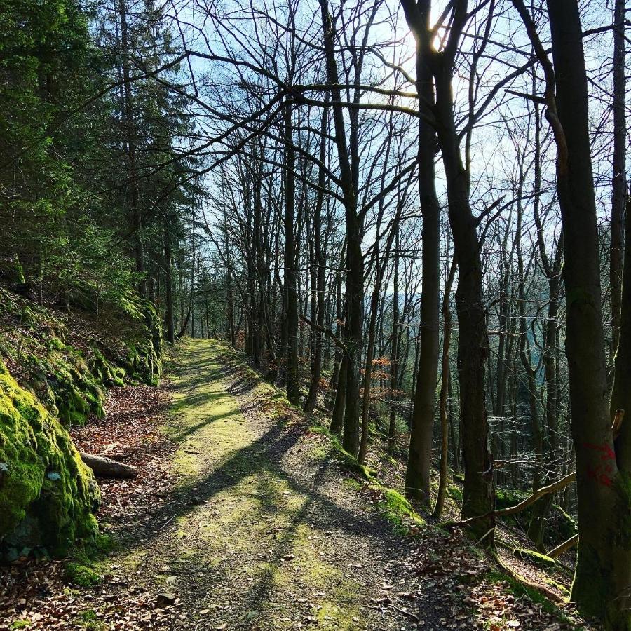 Ferienwohnung Frankenwald Naila Esterno foto
